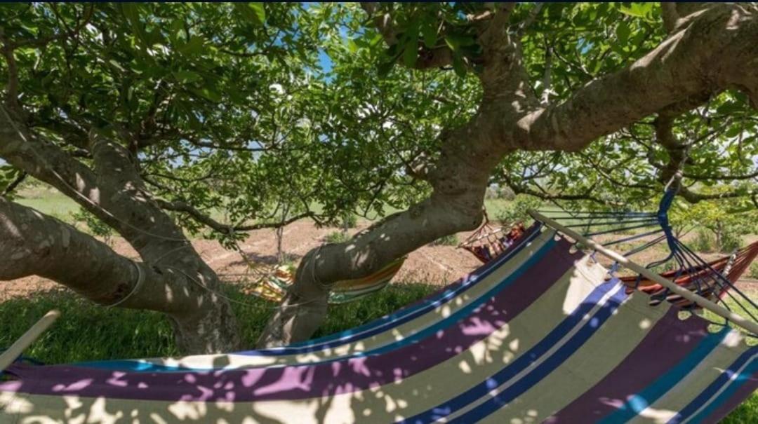 הוילה Melissano Le Cernicole מראה חיצוני תמונה