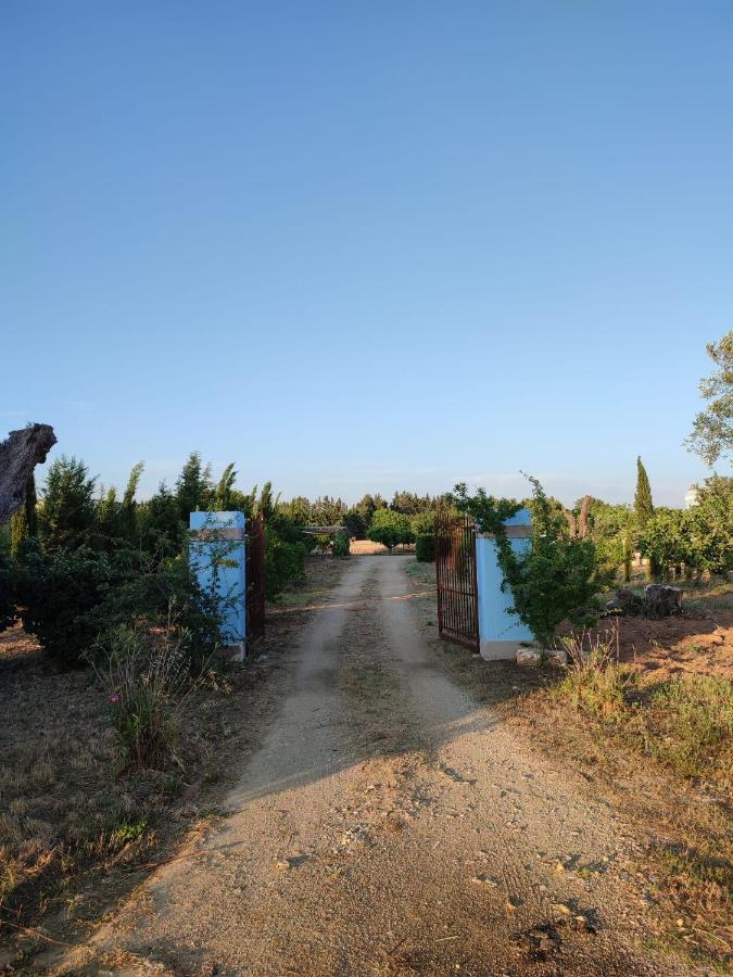 הוילה Melissano Le Cernicole מראה חיצוני תמונה